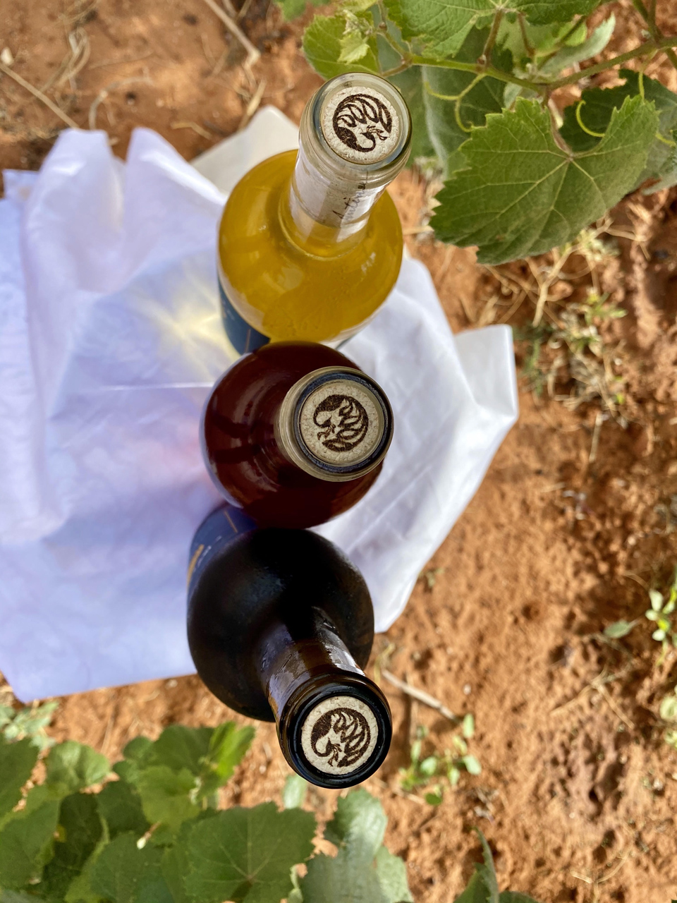 10_three_bottles_from_above